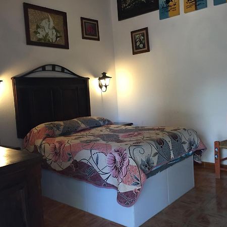 Margarita Hotel Bandita Extérieur photo